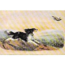 Art CHARLOTTE BRONTE "Flossie" Postcard (Scott C.Y.799)