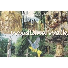 Woodland Walk Crich Derby Tramway Museum Postcard