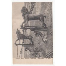 Palazzo Municipale Leone Guelfo e Grifo Perugia Postcard Italy