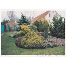 Northe Creake Winter Heathers Norfolk Postcard