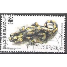 Belgique 2000 Michel 2950 O Cote (2008) 0.50 € Salamandre terrestre Cachet rond