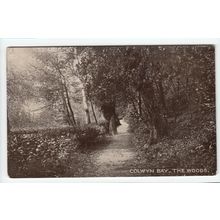 The Woods Colwyn Bay RP Postcard 63722