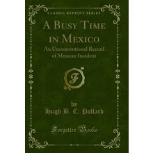 A Busy Time in Mexico: An Unconventional Record of Mexican Incident