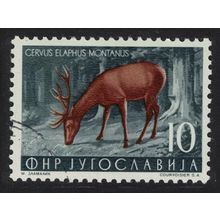 Yugoslavia Red deer Wild Animal 1954 Canc SG#767 MI#740
