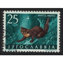 Yugoslavia Pine marten Forest Mammal 1960 CTO SG#958 MI#919 Sc#574