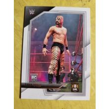 2022 NXT WWE #16 Tiger Turan