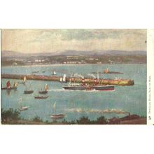 Isle of Man DOUGLAS HEAD Tuck Oilette Postcard (781)