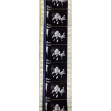 Pk GEB - W - MIX - E 0111g . 1 STRIP OF 5 - 35MM FILM CELLS. ( M )