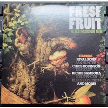 Fresh Fruit CD Promo Classic Rock Magazine 15 Tracks Album