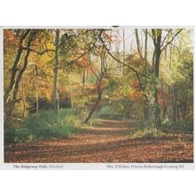 The Ridgeway Path Whiteleaf Buckinghamshire Womens Institute Postcard