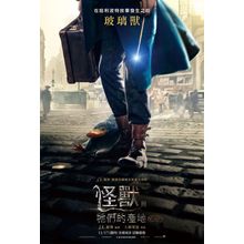 Fantastic Beasts and Where to Find Them (2016)_22 Movie Film Poster Canvas iconi
