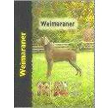 Weimaraner - hond - boek