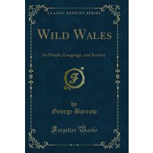 Wild Wales: Its People, Language, and Scenery (Classic Reprint)