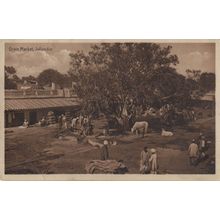 Grain Market Jullundur Jallundhar India Farming RPC Old Postcard