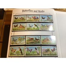 ICOLLECTZONE Manama Butterflies Set (A700-7)