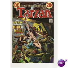 TARZAN # 215 ( DC series)