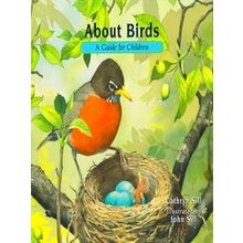 About Birds