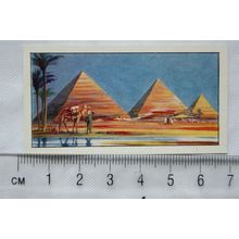 1962 Typhoo Do You Know No. 6 Who Built the Pyramids ?