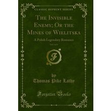 The Invisible Enemy; Or the Mines of Wielitska, Vol. 2 of 4 (Classic Reprint)