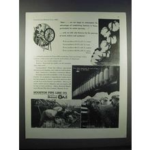 1946 Houston Pipe Line Co. Ad - Cotton Spinning
