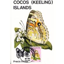 Precis Villida Australian Butterfly Insect Rare Photo Stamp First Day Cover
