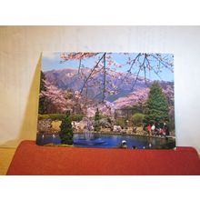 GORA PARK, KAHONE, JAPAN used postcard 1978 postmark =