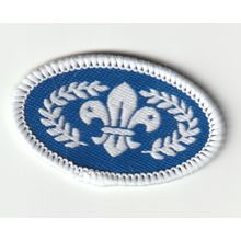 Scout Badge - Chief Scout Silver Award - 2000's - Black Back (PFO)