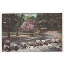 Stepping Stones Endcliffe Woods Sheffield Yorkshire Postcard