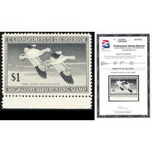 RW14, Mint XF NH $1 Duck Stamp - Graded 90J JUMBO PSE Certificate * Stuart Katz