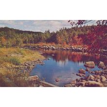 Salmon Fishing Bridge Musquodoboit River Nova Scotia Canada Postcard