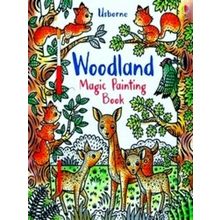 Woodland Magic Painting 1 Magic Painting Books