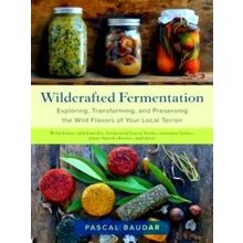 Wildcrafted Fermentation