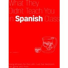 What They Didn't Teach You In Spanish Class