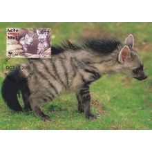 Aardwolf Protele Erdwolf WWF Wolf Rare Ethiopia Stamp FDC Postcard