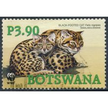 Endangered Species, Black Footed Cat: 3.90p - Botswana 2005 - FH - SG 1042