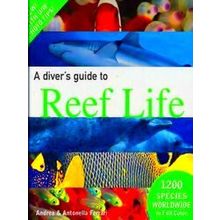 A Diver's Guide To Reef Life