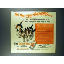 1948 Gaines Dog Food Ad - The New Gaines!
