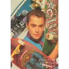 David Of Brother Beyond Pop Music Group Publicity Postcard