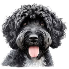 124 Portuguese Water Dog Poster Canvas Movie Film Print A0 A1 A2 A3 A4 A5 A6 Art