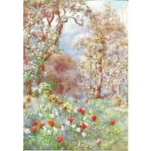 Art BEATRICE PARSONS Tulips In A Garden Postcard (Medici 2124)