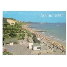 ALUM CHINE, BOURNEMOUTH unused postcard by J Salmon c.1986 #