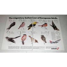 1980 SwissAir Ad - Migratory Behavior European Birds