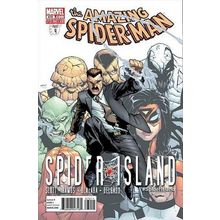 Amazing Spider-Man (Vol 2) # 670 NM MODERN AGE COMICS