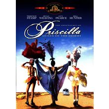 Priscilla of the Desert (6) Poster Canvas Movie Film Print A0 A1 A2 A3 A4 A5 A6