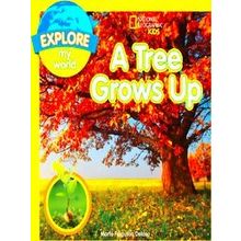 A Tree Grows Up