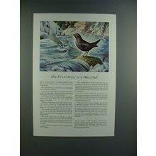 1944 Travelers Insurance Ad w/ Water Ouzel