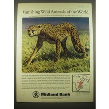 1966 Midland Bank Ad - Cheetah - Vanishing Wild Animals of the World