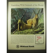 1966 Midland Bank Ad - Markhor - Vanishing Wild Animals of the World