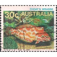 AUSTRALIA, FISH, Choat's Wrasse, yellow 1984, 30c