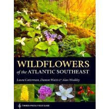 Wildflowers of the Atlantic Southeast